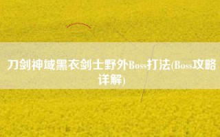 刀剑神域黑衣剑士野外Boss打法(Boss攻略详解)