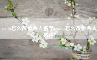 zoom怎么改参会人名字(zoom怎么改参会人名字)