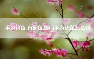 手游钓鱼 有鲸鱼,蜀门手游钓鱼怎么钓