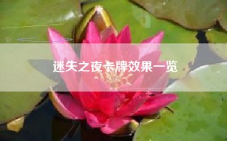 迷失之夜卡牌效果一览