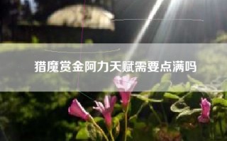 猎魔赏金阿力天赋需要点满吗