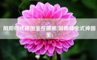 阴阳师式神图鉴在哪里(阴阳师全式神图鉴)