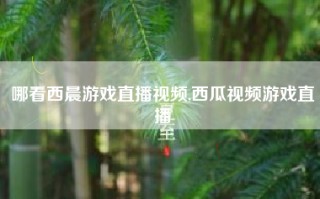 哪看西晨游戏直播视频,西瓜视频游戏直播