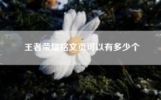 王者荣耀铭文页可以有多少个