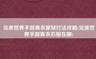 完美世界手游青衣冢狱打法攻略(完美世界手游青衣石棺在哪)