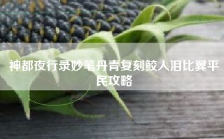 神都夜行录妙笔丹青复刻鲛人泪比翼平民攻略