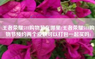 王者荣耀518购物节在哪里(王者荣耀518购物节预约两个皮肤可以打包一起买吗)