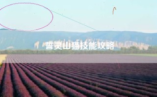 誓灵山猫技能攻略