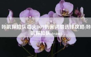 咔叽探险队毒火DOT伤害词缀选择攻略(咔叽探险队steam)