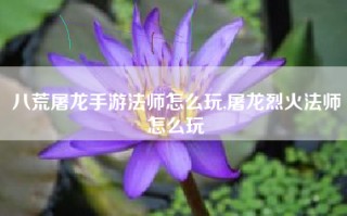 八荒屠龙手游法师怎么玩,屠龙烈火法师怎么玩
