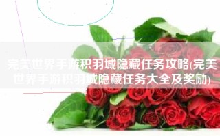 完美世界手游积羽城隐藏任务攻略(完美世界手游积羽城隐藏任务大全及奖励)