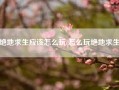 绝地求生应该怎么玩(怎么玩绝地求生)