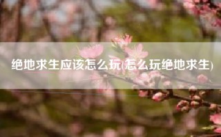 绝地求生应该怎么玩(怎么玩绝地求生)