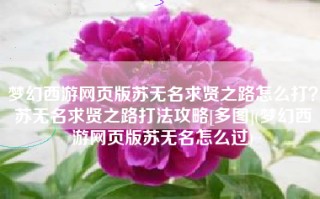 梦幻西游网页版苏无名求贤之路怎么打？苏无名求贤之路打法攻略[多图](梦幻西游网页版苏无名怎么过)