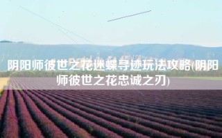 阴阳师彼世之花迷蝶寻迹玩法攻略(阴阳师彼世之花忠诚之刃)