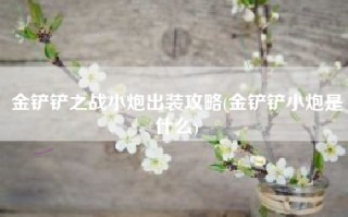 金铲铲之战小炮出装攻略(金铲铲小炮是什么)