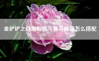 金铲铲之战幽影格斗赛芬阵容怎么搭配