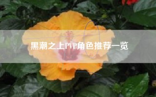 黑潮之上PVP角色推荐一览