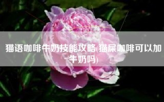 猫语咖啡牛奶技能攻略(猫屎咖啡可以加牛奶吗)