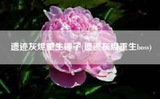 遗迹灰烬重生锤子(遗迹灰烬重生boss)