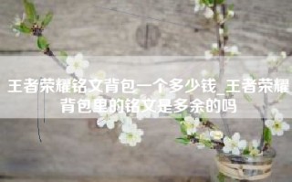 王者荣耀铭文背包一个多少钱_王者荣耀背包里的铭文是多余的吗