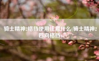 骑士精神2格挡使用注意什么(骑士精神2四向格挡)