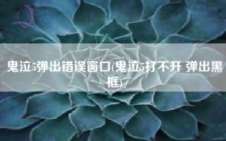 鬼泣5弹出错误窗口(鬼泣5打不开 弹出黑框)