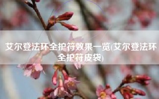 艾尔登法环全护符效果一览(艾尔登法环全护符皮袋)