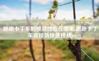 跑跑卡丁车的挑战任务在哪里(跑跑卡丁车竞技场快速挑战)
