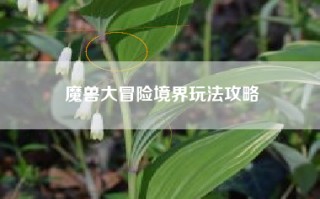魔兽大冒险境界玩法攻略
