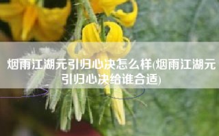 烟雨江湖元引归心决怎么样(烟雨江湖元引归心决给谁合适)