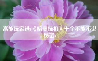 高能玩家进(《暗黑挂机》十个不能不说秘密)