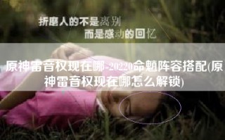 原神雷音权现在哪-20220命魈阵容搭配(原神雷音权现在哪怎么解锁)