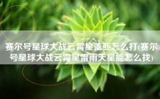 赛尔号星球大战云霄星盖亚怎么打(赛尔号星球大战云霄星雷雨天星能怎么找)