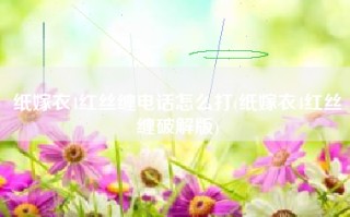 纸嫁衣4红丝缠电话怎么打(纸嫁衣4红丝缠破解版)