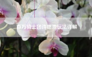 百万骑士团许愿池玩法详解