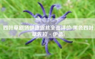 四叶草剧场伊德露丝全面评价(黑色四叶草佐拉·伊德)