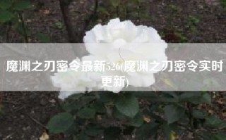 魔渊之刃密令最新526(魔渊之刃密令实时更新)