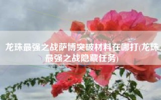 龙珠最强之战萨博突破材料在哪打(龙珠最强之战隐藏任务)