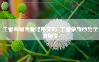 王者荣耀西施吃铭文吗_王者荣耀西施全肉铭文