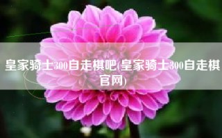 皇家骑士300自走棋吧(皇家骑士300自走棋官网)