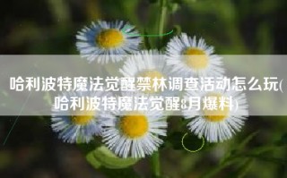哈利波特魔法觉醒禁林调查活动怎么玩(哈利波特魔法觉醒8月爆料)