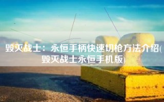 毁灭战士：永恒手柄快速切枪方法介绍(毁灭战士永恒手机版)