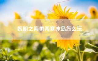 黎明之海勇闯寒冰岛怎么玩