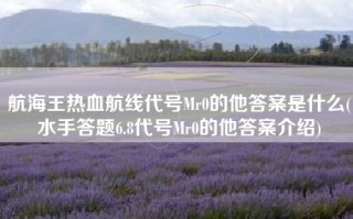 航海王热血航线代号Mr0的他答案是什么(水手答题6.8代号Mr0的他答案介绍)