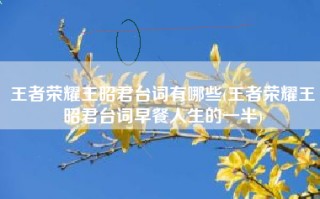 王者荣耀王昭君台词有哪些(王者荣耀王昭君台词早餐人生的一半)