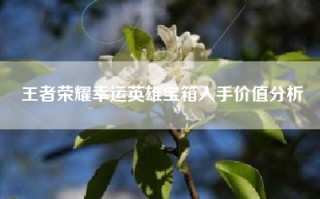 王者荣耀幸运英雄宝箱入手价值分析