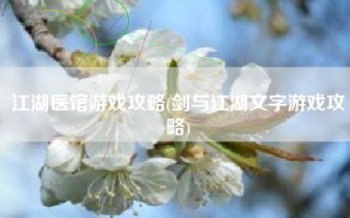 江湖医馆游戏攻略(剑与江湖文字游戏攻略)