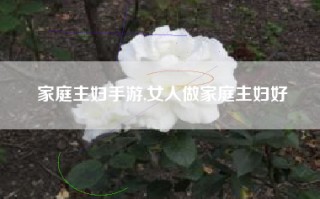 家庭主妇手游,女人做家庭主妇好