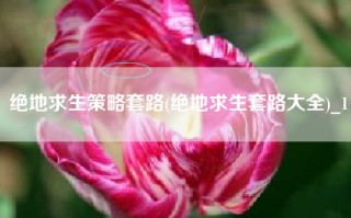 绝地求生策略套路(绝地求生套路大全)_1
